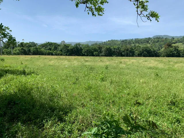 Te Vendo Excelente Finca/yasica/puerto Plata.