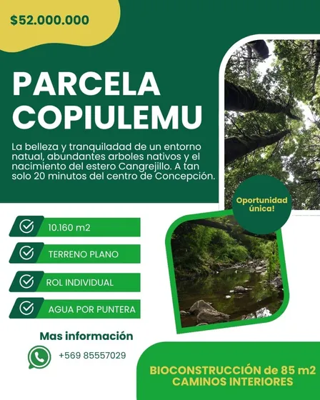 Parcela En Venta Copiulemu, Concepcion 1 Hectarea