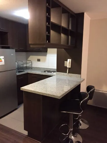 Venta Departamento En Ñuñoa