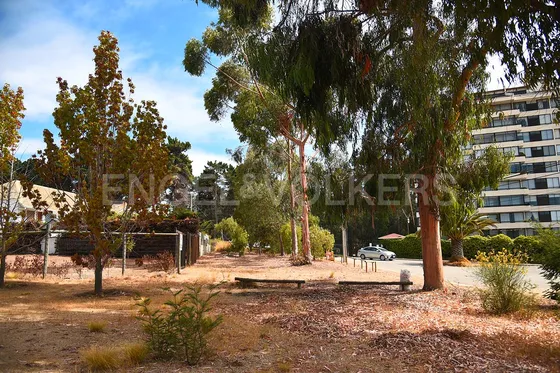 Terreno En Algarrobo Central