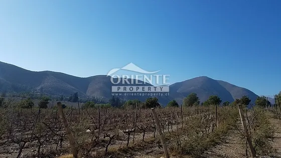 Venta De Viña