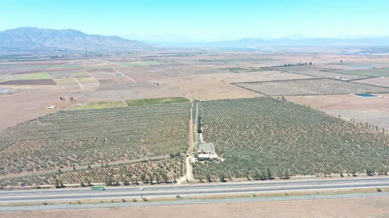 Venta - Ovalle - 60 Hectáreas