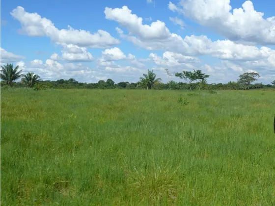 Venta Finca 784 Hectáreas En Puerto Gaitán ,meta
