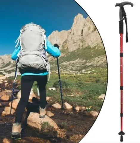 Baston Caminante Trekking Caminata Senderismo Camping Viaje