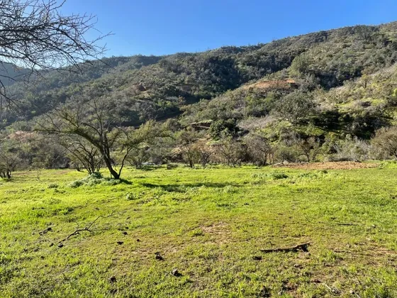 Parcela De 20.000 M2 | Plana Y 100% Utilizable | Curacaví