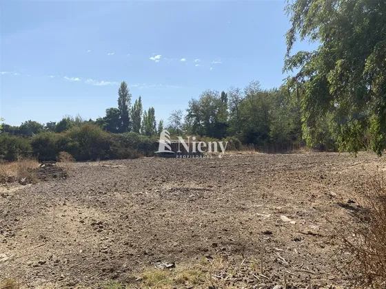 Sitio En Arriendo En Codegua