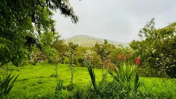 Gran Casa En La Aurora Curacavi