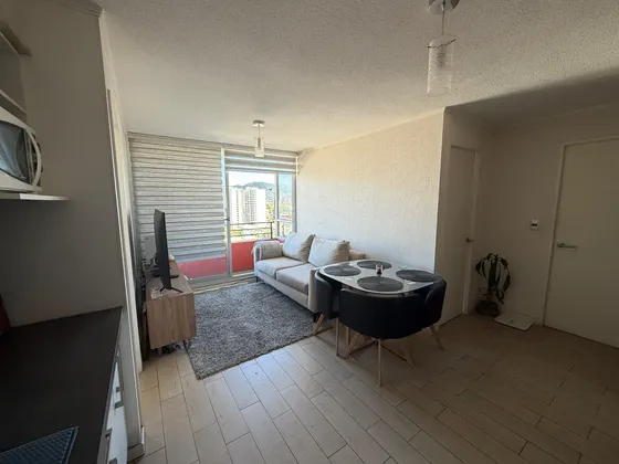Oportunidad! Departamento Céntrico En Conce 2d, 2b Y E