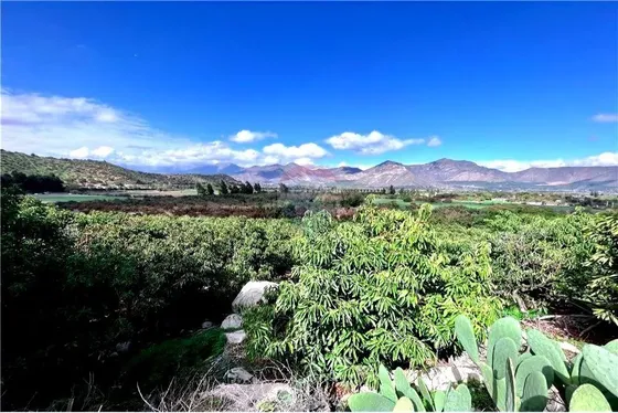 Venta Parcela De 3,9 Hect. De Cultivo De Paltas.