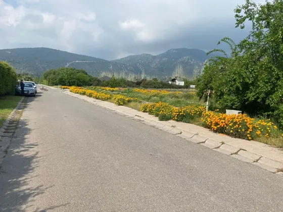La Parcela Se Encuentra A La Entrada, Sector Santa Rita