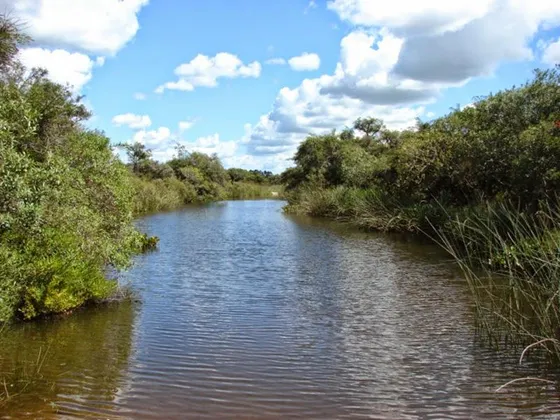 Arroyo Anastasio Chacra 2