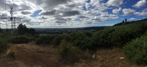 Se Vende Terreno De 3,92 Hectáreas En Temuco.