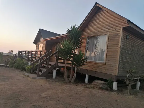 La Ballena (90499)