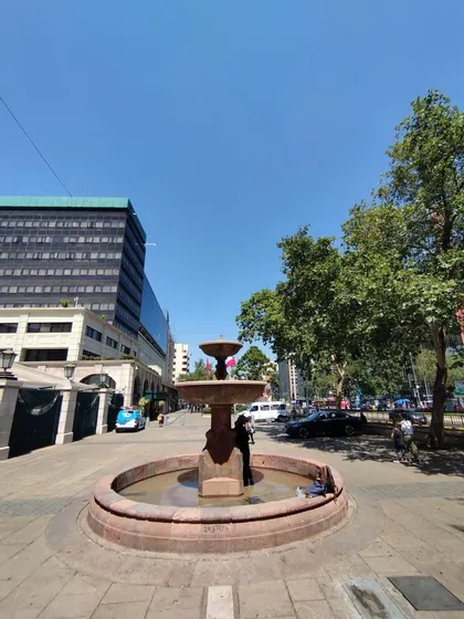 Universidad De Chile (135105)