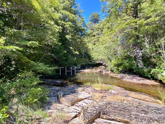 Campo Precordillerano Venta Melipeuco, Cascadas, Araucarias.
