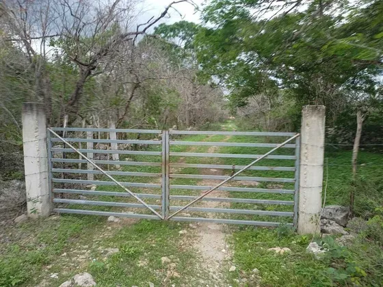 Terreno De 3.4 Hectáreas Sobre Carretera Tetiz-celestun