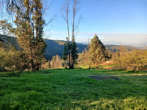Vive En El Campo A 5 Minutos De La Ciudad De Quilpue