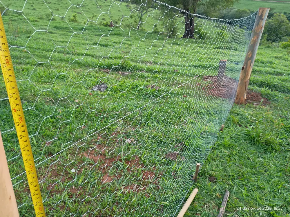 Rolo Tela Galinheiro Fio 23 50m X 1,50m Galvanizada Malha 2 - Imagem 3