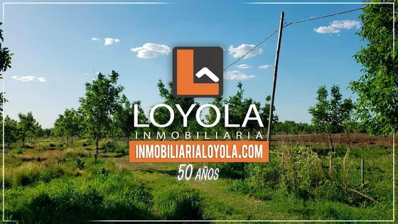 5 Hectáreas Para Producción Y Vivienda La Paz Cordoba