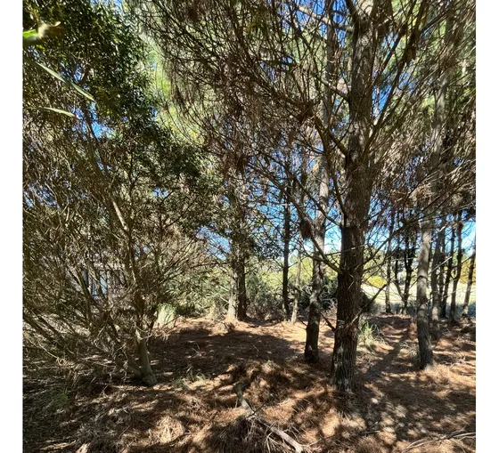 Terreno-lote En Venta Barrio Costa Esmeralda -residencial 1 