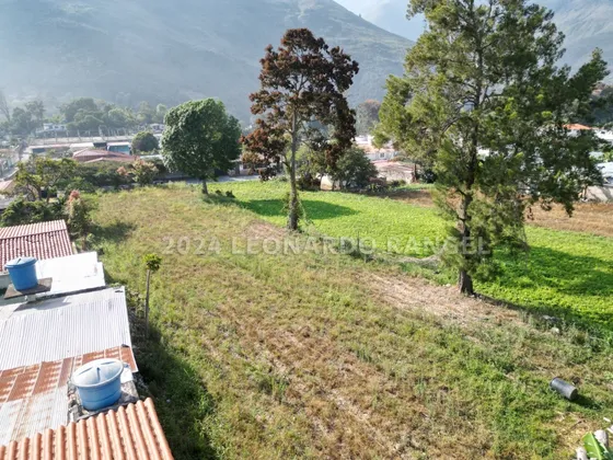 Se Vende Increíble Terreno De 1974 M² En Playa Bailadores, Mérida.