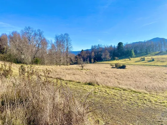 Pucon Venta Terreno Subdividido Con Pre Roles 