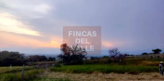 Santa Helena, 2.048 M2, Lote En Venta