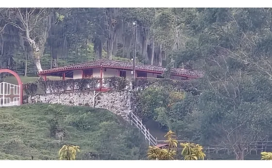 Vendo Finca Angostura Antioquia P1 C8339213