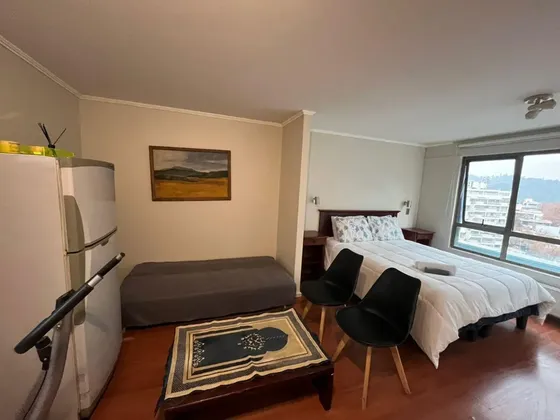 Departamento En Venta  Excelente Ubicación En Providencia