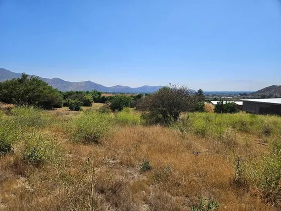Parcela 5250m2 Condominio Alto El Rosario (164906)