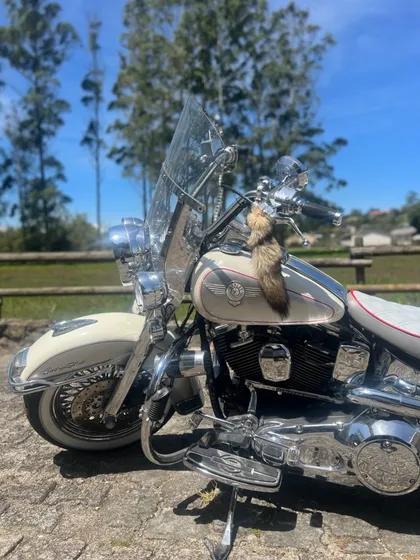 Harley Davidson Heritage Softail 1994 - Nostalgia