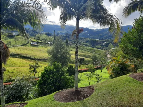 Lote En Venta Vereda Chiquinquirá En El Peñol