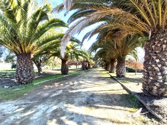 Parcelas Centrales En Olmué