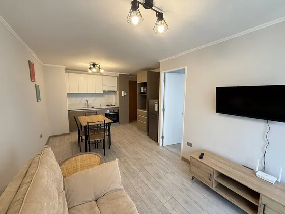 Arriendo Depto Full Amoblado (169859)