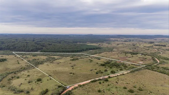 Oportunidad: Campo 20 Ha Venta En Las Sierras De Garzón