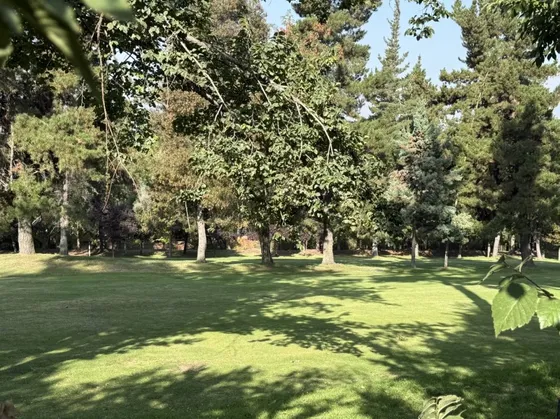 Sitio 2 Casas Lomas Dehesa Cancha Golf
