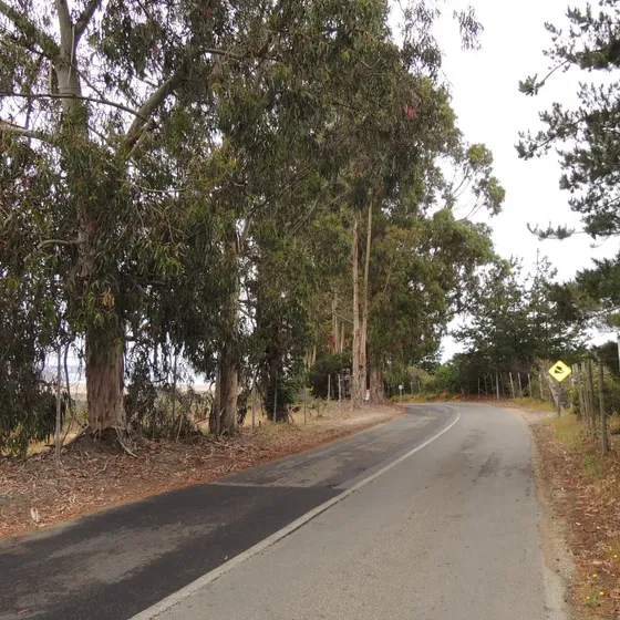 Precioso Terreno En Tunquen Con Vista Mar Y Uso Comercial /