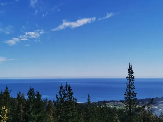Parcelas Vista Al Mar En Chovellén | A 15 Min De Curanipe
