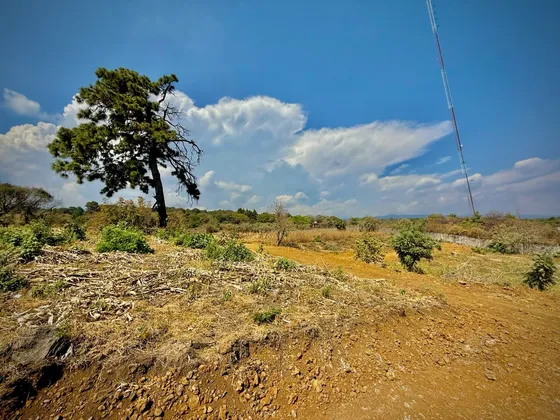 Terreno Rustico En Ocotepec