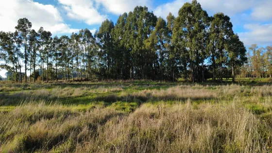 Precio Increíble! Vive A Minutos De Osorno - Ruta 215