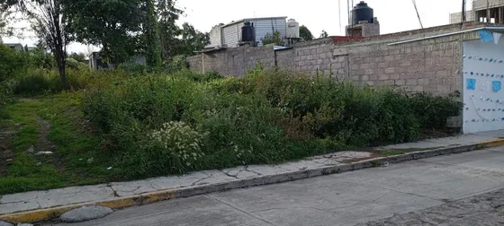 Terreno En Nopaltepec