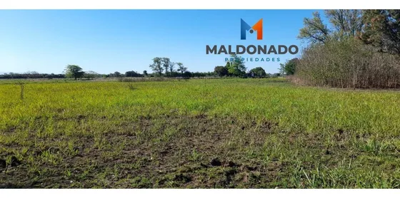 Venta Campo Quinta