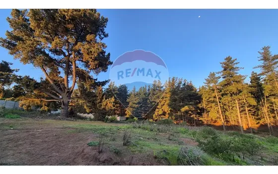 Terreno En Loteo Rol Propio/los Pinos (1.763 Mts2)