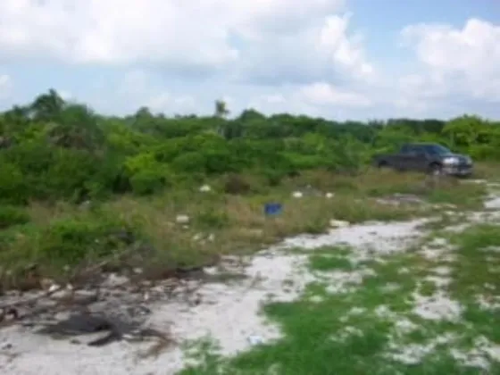 Terreno En Venta En Xcalak