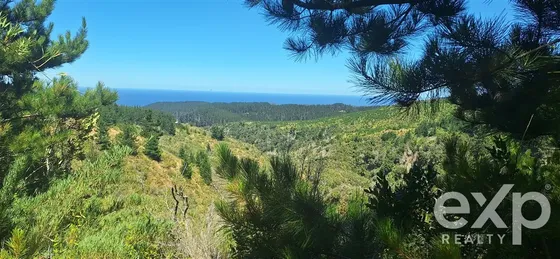 Vende Parcela L296 Con Vista Al Mar, Pichilemu