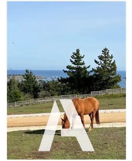 Venta Parcela, Condominio En Pichilemu 1000 Mts2, Uf 4.399