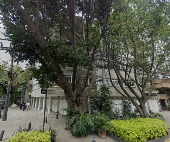 Venta De Amplio Dpto. Polanco V Secc, Miguel Hidalgo, Cdmx. 
