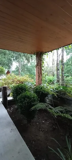 Hermoso Departamento Amoblado En Pucon