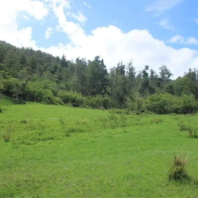Hermoso Terreno En Venta En Una De Las Zonas Mas Solicitadas En República Dominicana La Joya Que Es Constanza 