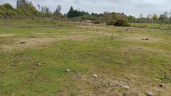 A Minutos De Temuco  (100495)
